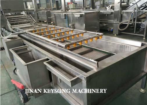 Rooted Plant Fruit And Vegetable Processing Machinery Washing Equipment  Large Capacity