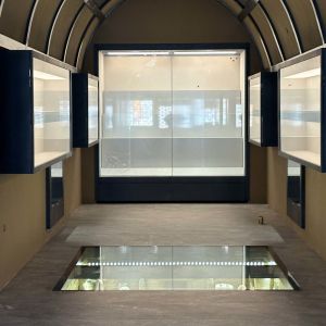 Large Capacity Hanging Wall Display Cabinet Unit for Museum Collections Exhibits