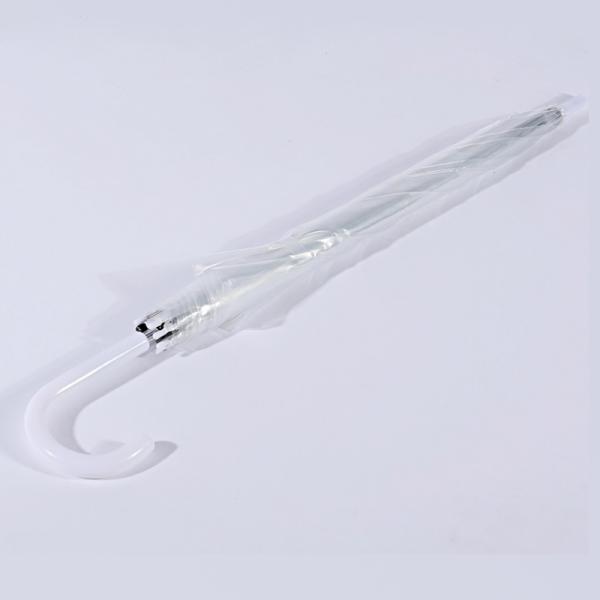 Steel Shaft Advertising Transparent POE Full Body Dome Umbrella with Print Logo Auto Open