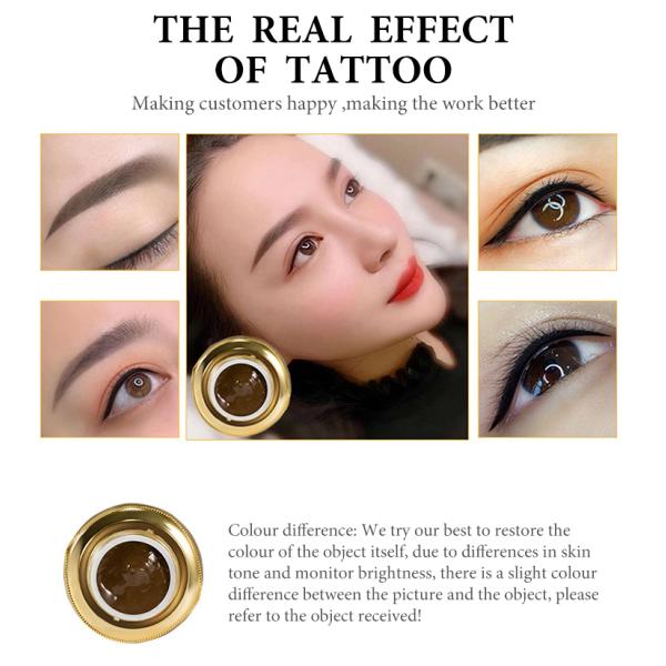 Макияж брови постоянный пигментирует академию чернил татуировки смеси GMT косметическую Perma