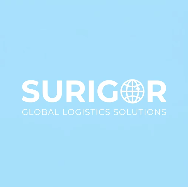 OOG Special Container Flat Rack Container Shipping For Heavy Cargo Transport With DDP
