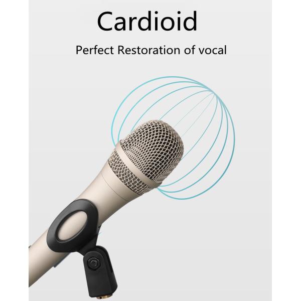 Караоке микрофона 12mv/PA студии дома ODM OEM поя Mic