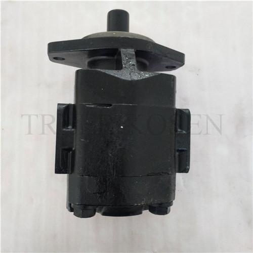 Hydraulic gear motor M20A997BEAF2043