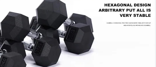Gym Equipment Home Gym Free Weights Rubber Hex Dumbbells