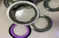 Los PP de nylon erizan la rueda de cepillo para la máquina de Stenter de la materia textil de BRUCKNER