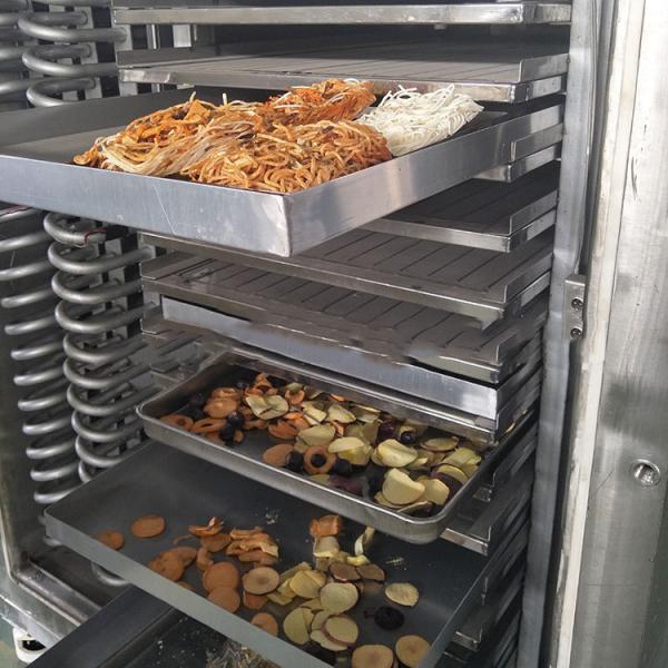 máquina farmacéutica de la liofilización de la fruta del PLC de los secadores 15kg/Batch