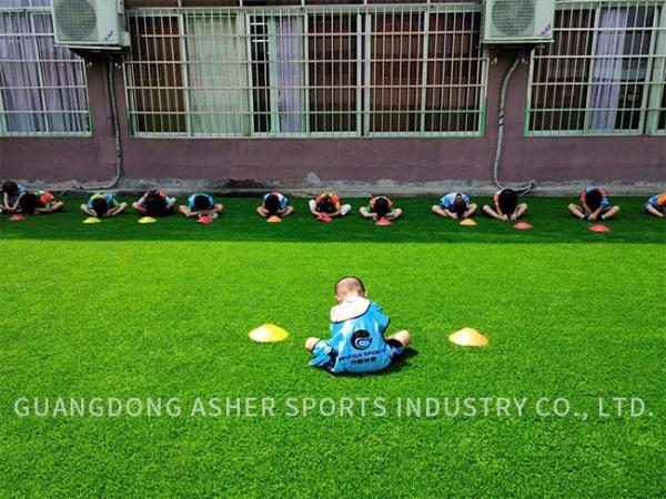 Kids Friendly Synthetic Astro Turf Carpet Polyethylene Landscaping Artificial