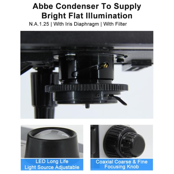 Halogen Light Student 1000x WF10X Biological Compound Microscope