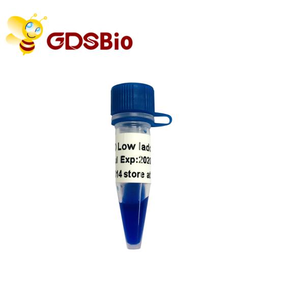 Отметка LM1031 ДНК лестницы LD низкая (60 приготовлений уроков) /LM1032 (60 preps×3)