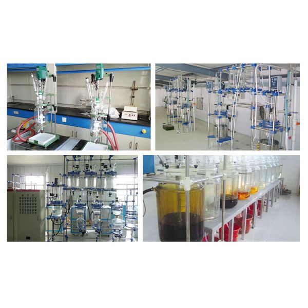 10L Volume Glass Bioreactor with 304 Stainless Steel Frame and 50-600 RPM for Chemical Lab