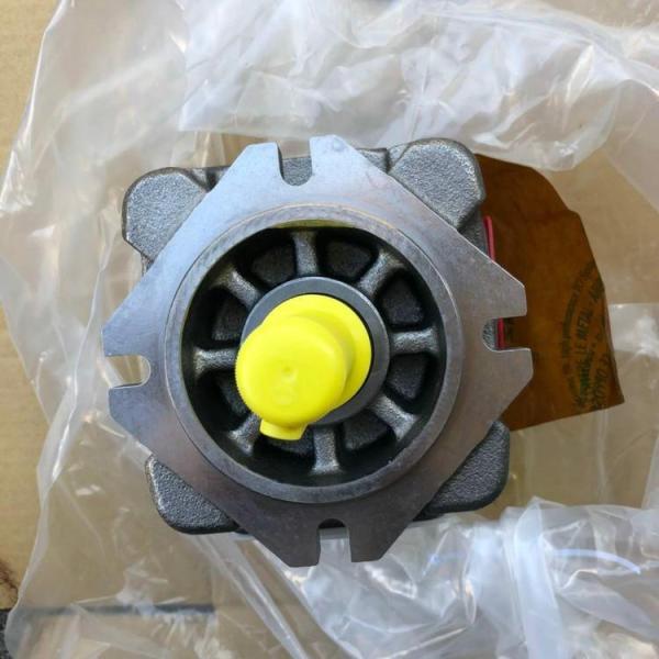 Rexroth Hydraulic Gear Pump ISO9001 Certified 350 Bar High Pressure Up to 500 cc/rev Internal Gear Pump