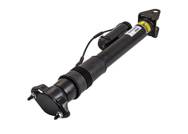 Rear Left Right Air Suspension Strut Shock Absorber A2513203031 A2513203131 For Mercedes Benz R320 R350 W251