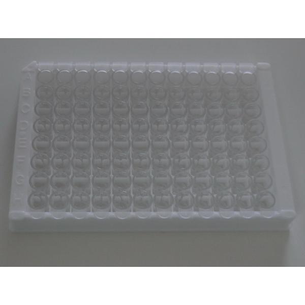 Easy-to- TB-IGRA ELISA Test Kit with Long Shelf Life and 2C-8C Preservation Method