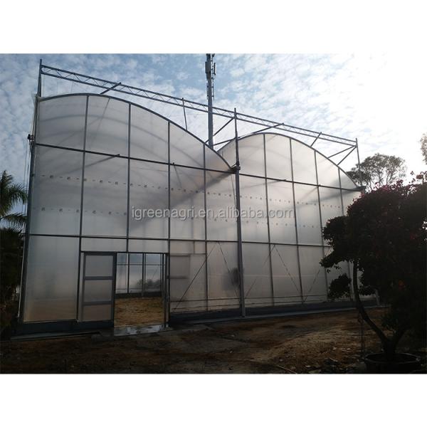 2-5m Shoulder Height High Tunnel Sawtooth Greenhouse for Commercial Plant Cultivation