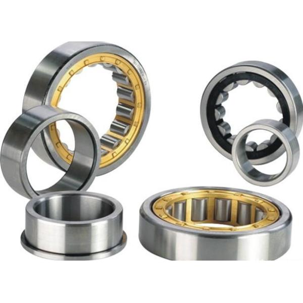 No Locating Cylindrical Roller Bearing / Oil Field Equipment Sealed Roller Bearings