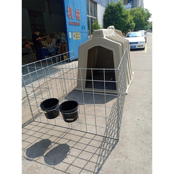 Dairy Farm Cow Calf Hutch Calf Feeding Equipment With Food Grade Bucket