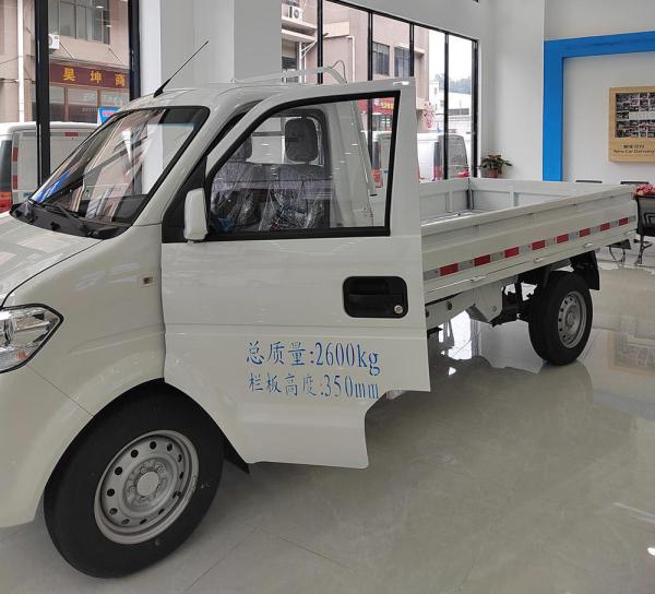 Ruichi EC31L 2 Seats Small Flatbed Mini Truck Electric Delivery Truck