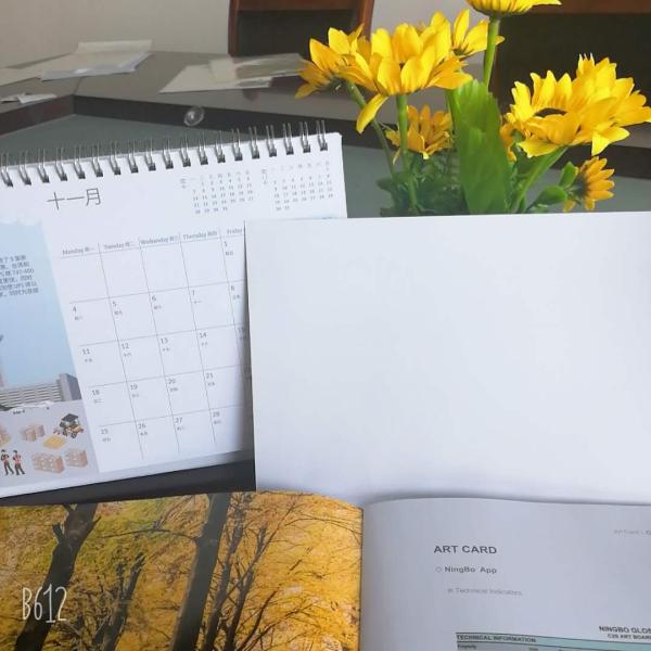 Papel de arte revestido de águia de nieve china C2S Brillo/Mat Brillo o mate Elige tu acabado