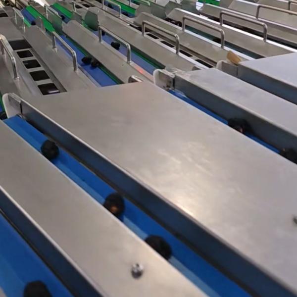 Smart Dates Sorting Machine With AI-powered Sorting System, high resolution Industrial Camera, High Output 2.6 Tons per hour, Automatic, 8 lanes+10 outlets