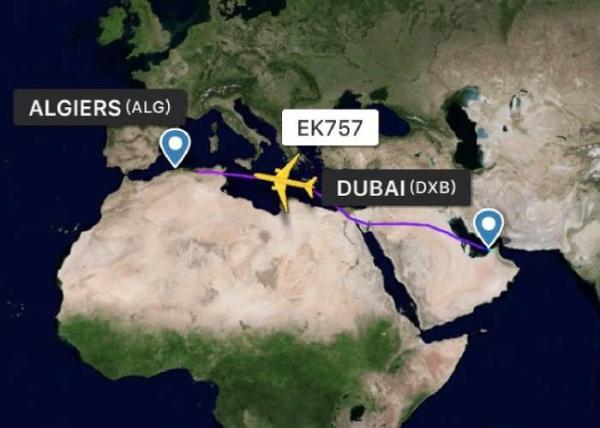 Professional Air Freight From China To Africa Short Transit Time 1-3 Days