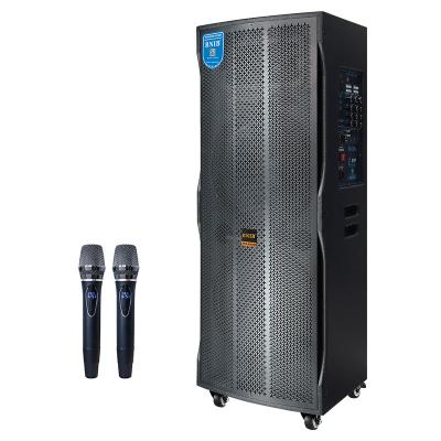 200W Portable Karaoke Speaker Professional Audio Sound System With Microphone