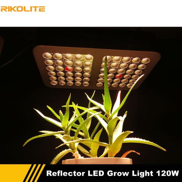 120w 510umol Indoor Plant Grow Lights , Full Spectrum Hydro Grow Lights