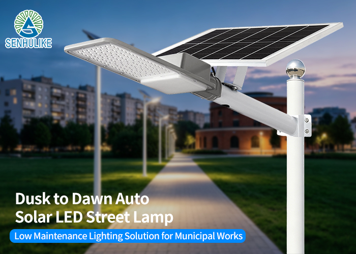 High-Brightness LED Outdoor Lamp with Light/Time/Microwave Induction, Rustproof Aluminum Alloy Outdoor Lighting