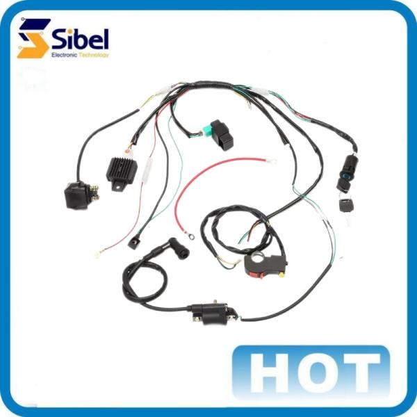 ODM OEM Racing Motorcycles Mopeds ATV Ignition System Wiring Harness with high quality