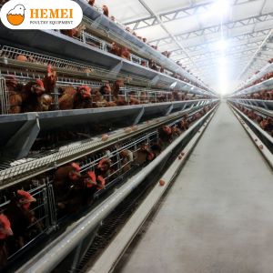 “A” Type Layer Cage