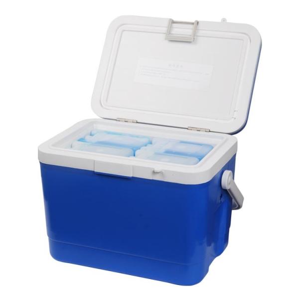 Caixa fresca isolada fresca do fruto da resina 17L do produto comestível para a resistência de corrosão das vacinas