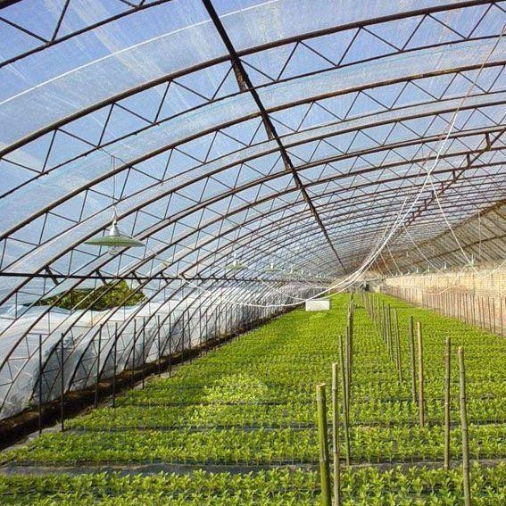 Irrigation and Ventilation System for Shading Cucumber Planting in Sunlight Greenhouse