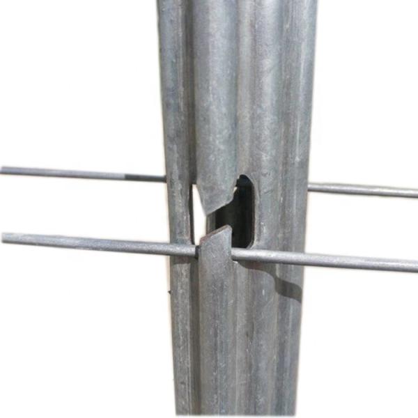10FT High Zinc Coated Metal Plant Support Stakes With Three Round Holes
