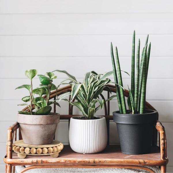 Custom Wooden Farmhouse Pedestal Display Stand for Tiered Trays