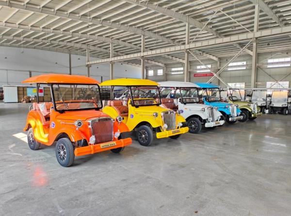 8 assentos Classic Golf Cart Estrutura de aço Corpo de estampagem de casca de ferro 5kw 48V * 150AH Bateria de cor rosa Operada