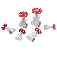 Caixa de injecção de água CF8 CF8m Bsp BSPT 200wog válvula de porta industrial