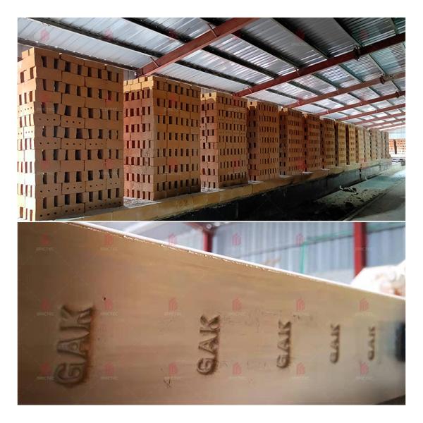 Проекты БРИКТЕК Демонстрация проекта GAK в Бангладеш