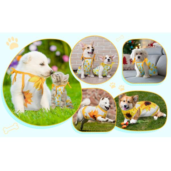 Pet Clothes Set Include Cute Pet Dress Lovely Fruit Dog Dress and 2 Pieces Dog Shirt Breathable Pet T-Shirt Pup