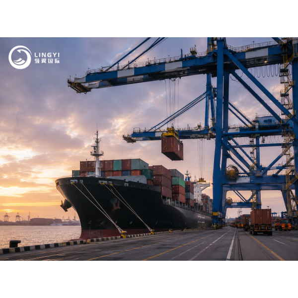 Reliable China to Mexico Ocean Freight DDP Service for Oversized Cargo and Machinery