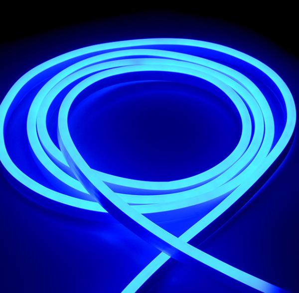 De hoge kwaliteit van de 110V/220V neon tubes 50 of 100 meter / volume van de verpakking