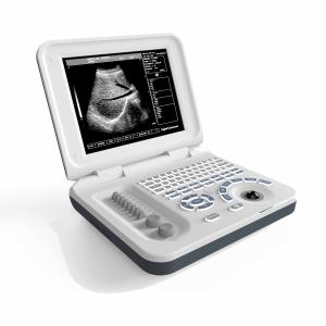 Multipurpose Equine Vet Portable Ultrasound Machine DRF RDA
