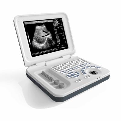 Pet Animal Veterinary Ultrasound Machine Convex Probe 10.4in Led Screen