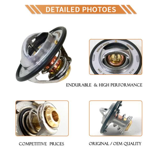 ISDe 5256423 Thermostat Original Cummins Parts