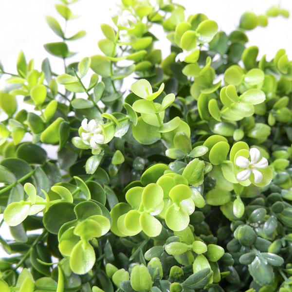 Украшение на открытом воздухе стены Boxwood крытой искусственной живущей домашнее