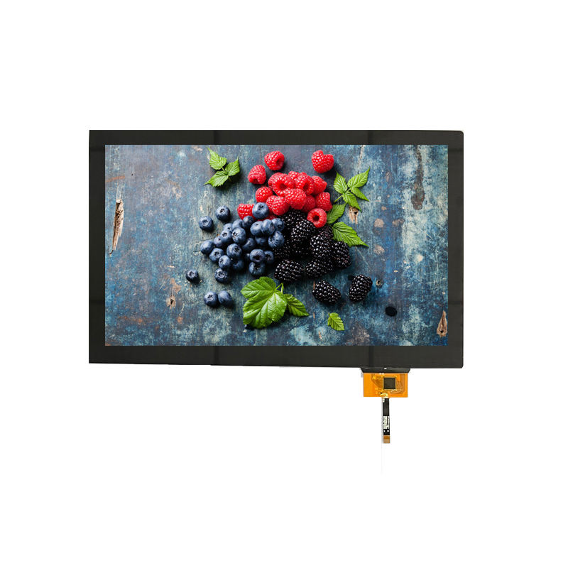 10.1 Inch TFT LCD Display 1024*600 Resolution Touch Screen LVDS Interface LCD Screen