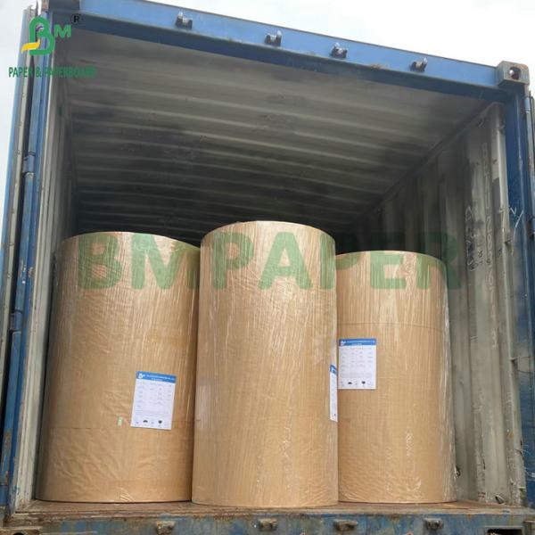 Papel revestido con PE 260gm + 15gm PE para hacer contenedores de pollo frito