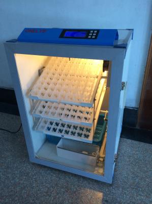 Quail 500 Egg Capacity Incubator Fully Automatic Self Turning 350W