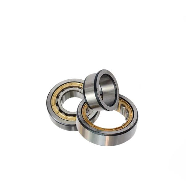 Single Row ECP Nj 204 Bearing Single Row Cylindrical Roller 20x47x14mm NJ204ECM