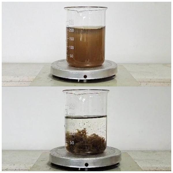 50 - 55% Solid Content Colour Removal Chemical For Mushroom Food Processing Wastewater