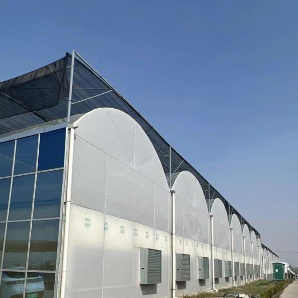 JX-A0022 Commercial Greenhouse with Multi-Span Plastic Tunnel Film Design Innovation