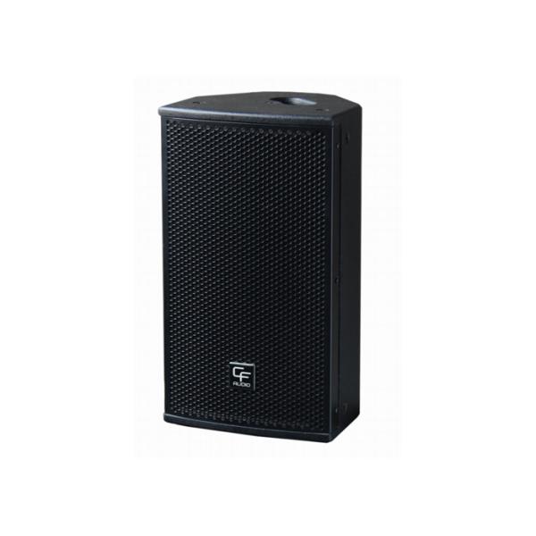 250W Pro DJ Sound System